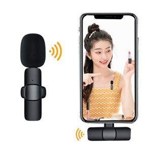 Wireless Portable Microphone